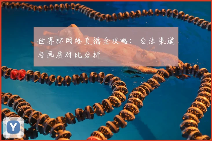 世界杯网络直播全攻略：合法渠道与画质对比分析