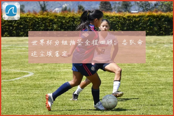 世界杯分组抽签全程回顾：各队命运尘埃落定