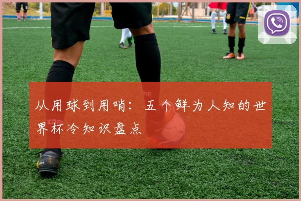 从用球到用哨：五个鲜为人知的世界杯冷知识盘点