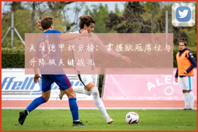 关注德甲积分榜：掌握欧冠席位与升降级关键战况