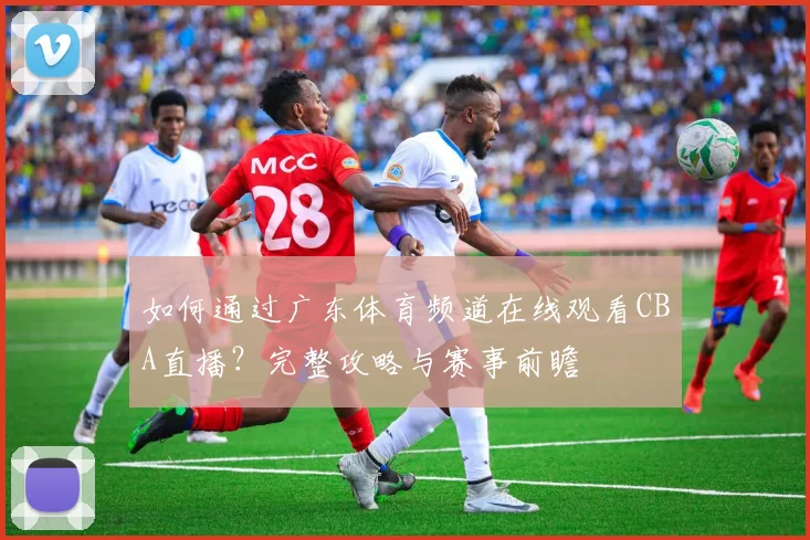 如何通过广东体育频道在线观看CBA直播？完整攻略与赛事前瞻