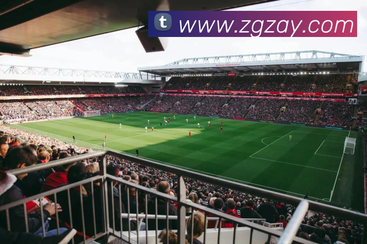 熊猫体育登录入口发展历程